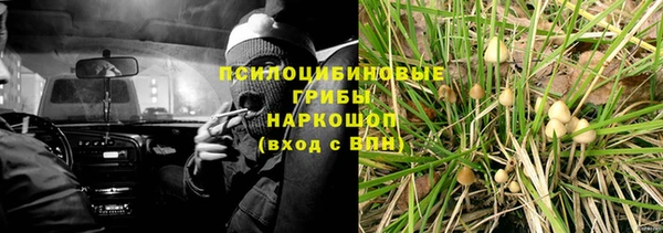 мяу мяу мука Алзамай