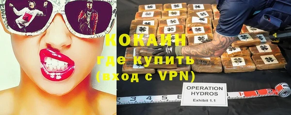 гидра Алексин