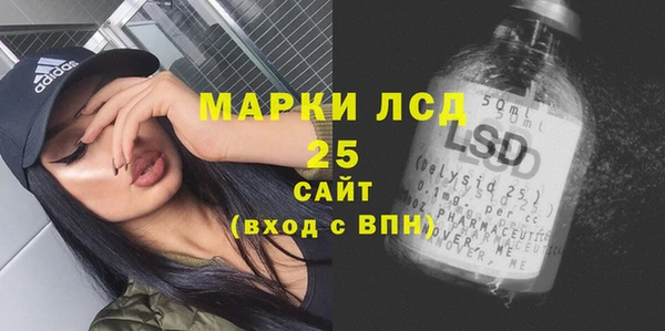 хмурый Няндома