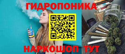 PSILOCYBIN Краснознаменск