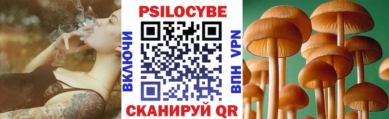 Псилоцибиновые грибы GOLDEN TEACHER  Вологда 