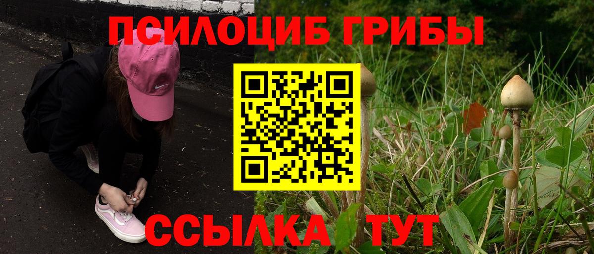 Псилоцибиновые грибы прущие грибы Вологда