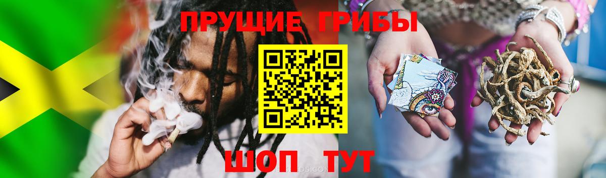 Вологда  цены   Галлюциногенные грибы Psilocybe  Вход с VPN  Галлюциногенные грибы мицелий 