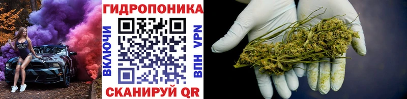 МАРИХУАНА сатива Вологда
